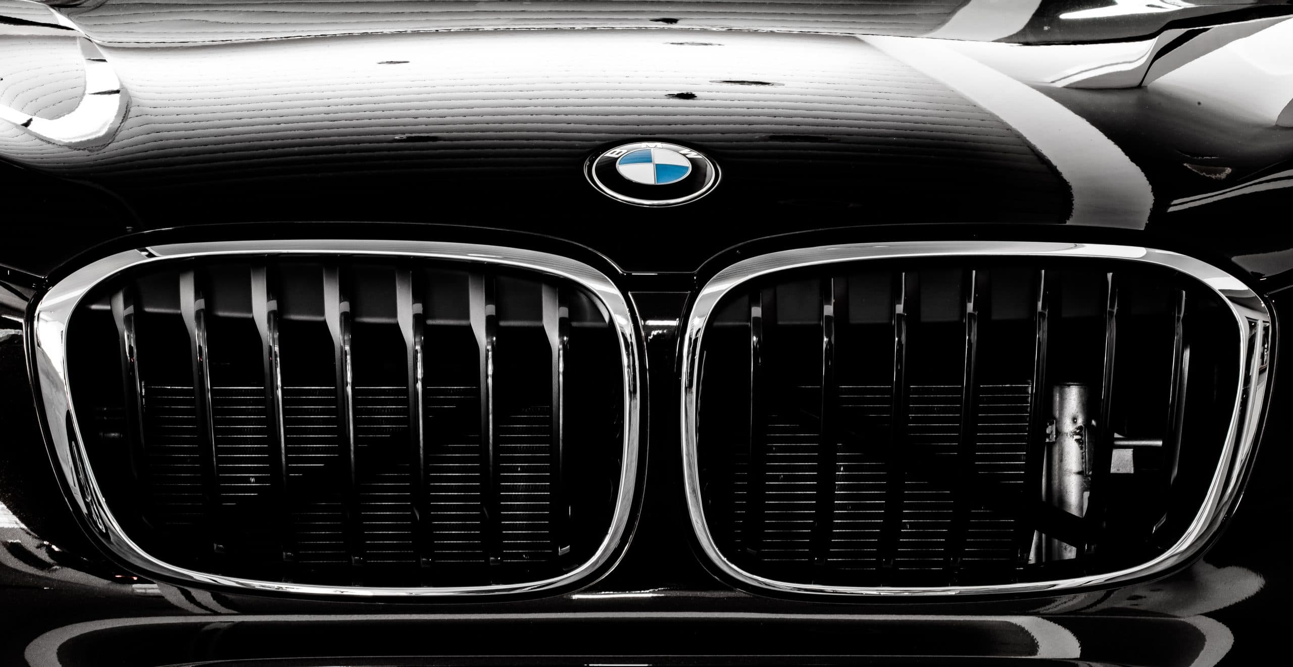BMW Grill